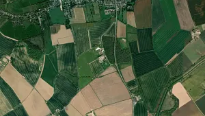 Parkareal Walter Day and Sons in Bourne