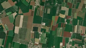 Parkareal Lavaggio Naliato Srl in Bressana Bottarone